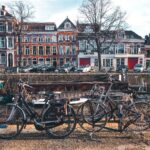 Strefy emisji w Niderlandy – dla kogo są przeznaczone? strefy emisji niderlandy